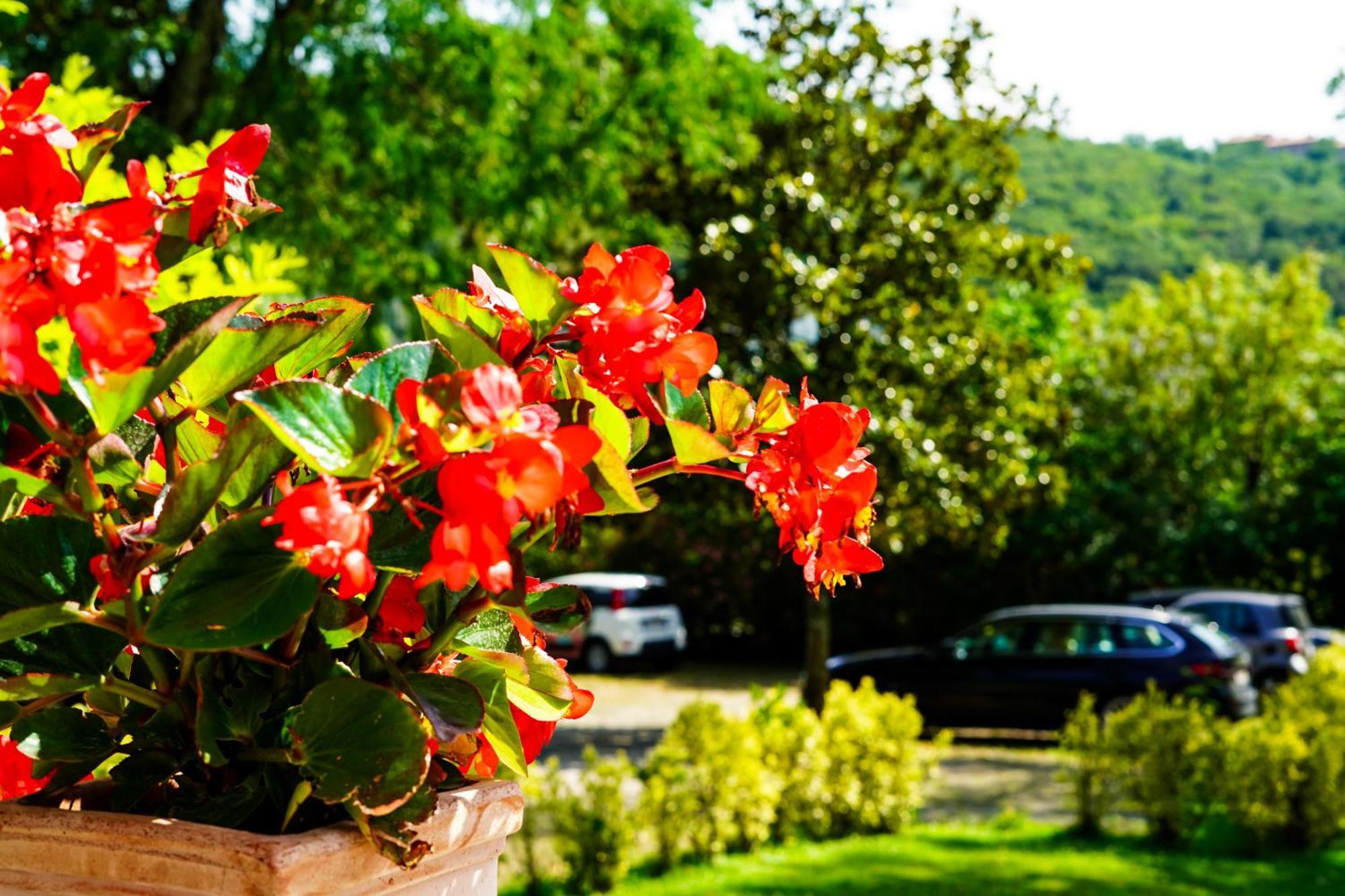 Villa Bottacin Trieste Dış mekan fotoğraf